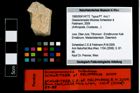 Foto (Objekt + Etikett) von Glaessneropsis tribulosa (Schweitzer & Feldmann, 2009)  (NHMW-GEO-1990-0041-4772)